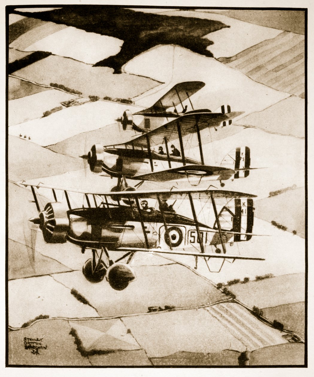 Terrier, illustrazione da 