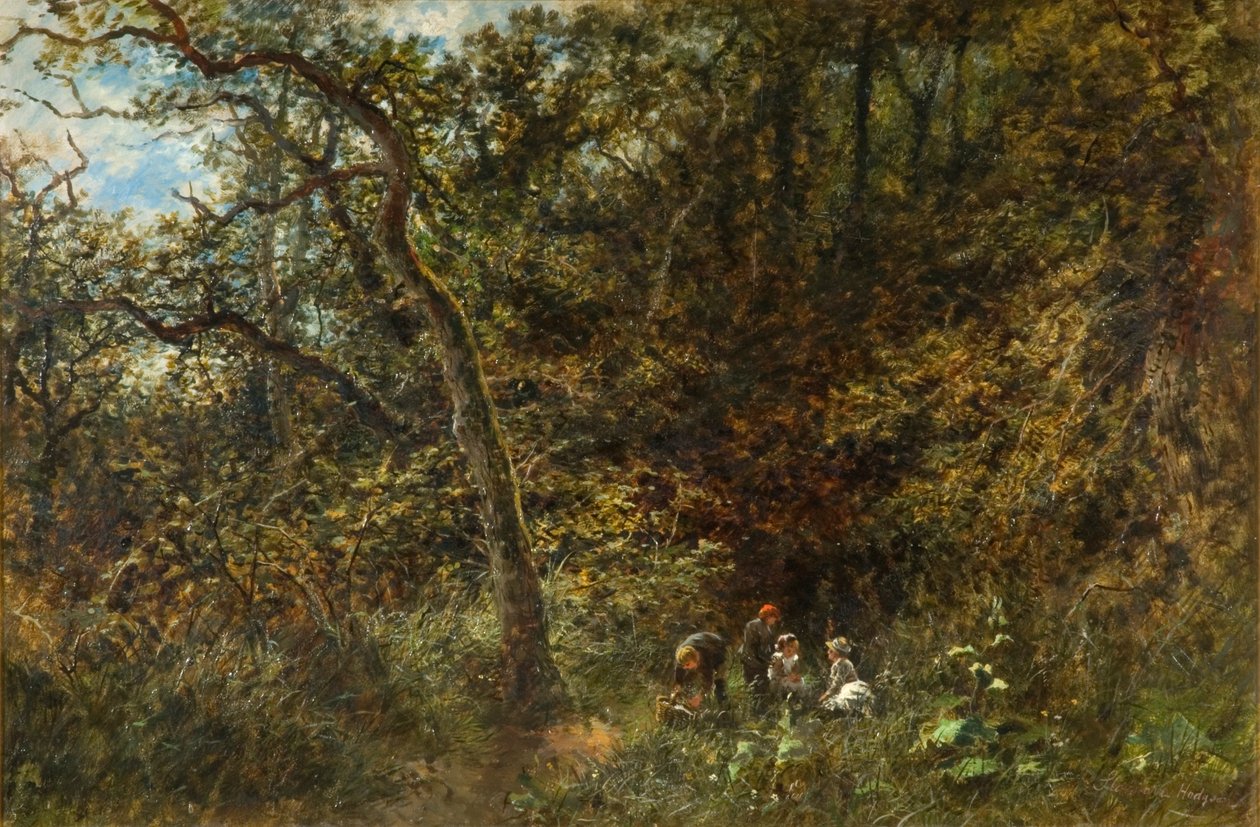 I giovani picnickers da Stannard Hodgson