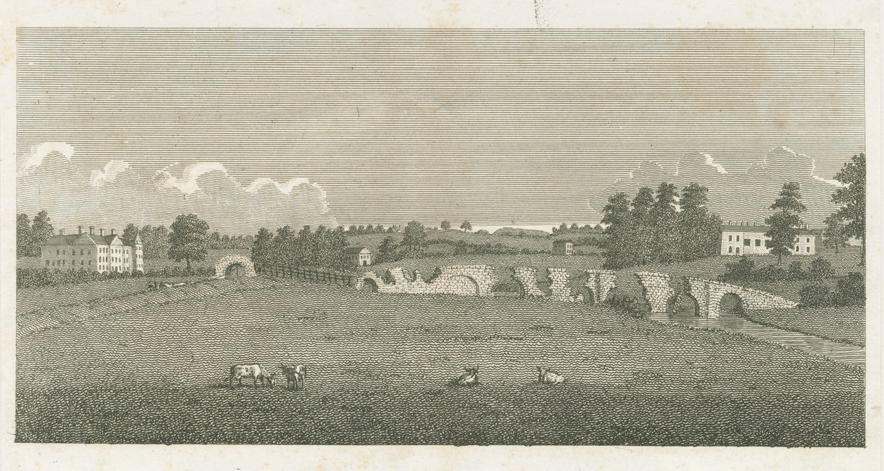 Ponte di Wolseley: incisione da Stebbing Shaw