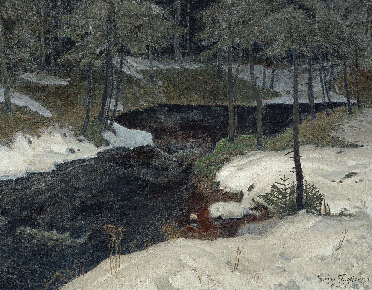 Bergstrom da Stefan Filipkiewicz