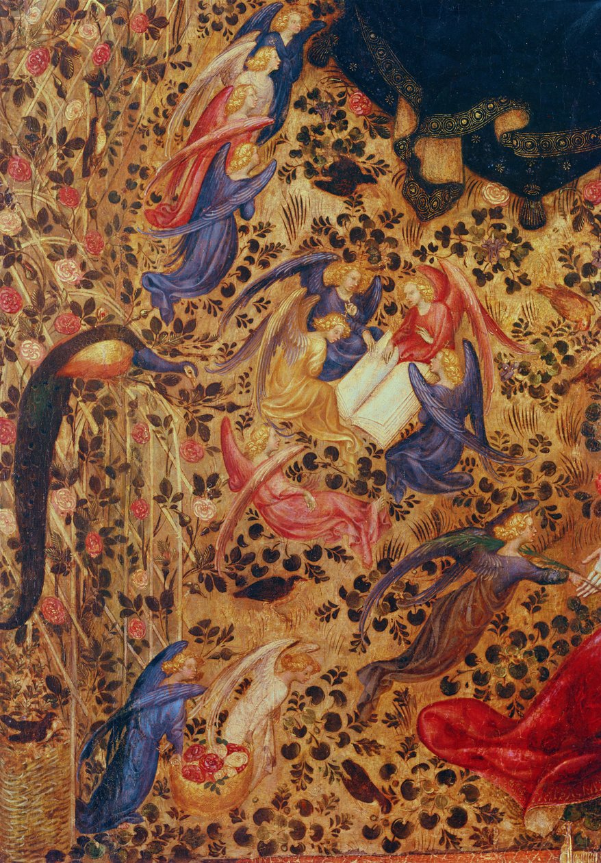 Madonna con un cespuglio di rose da Stefano di Giovanni da Verona