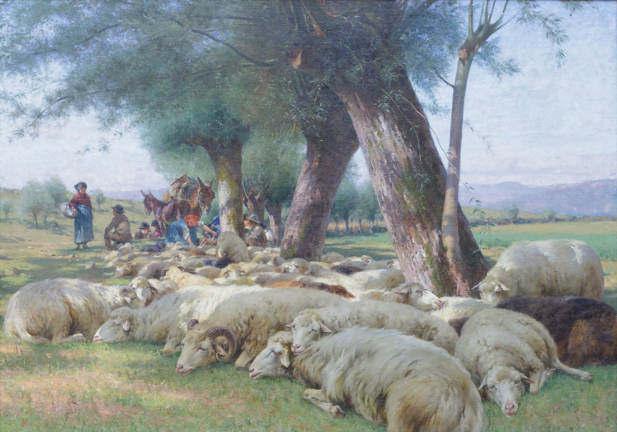 Pecore a riposo da Stefano Bruzzi