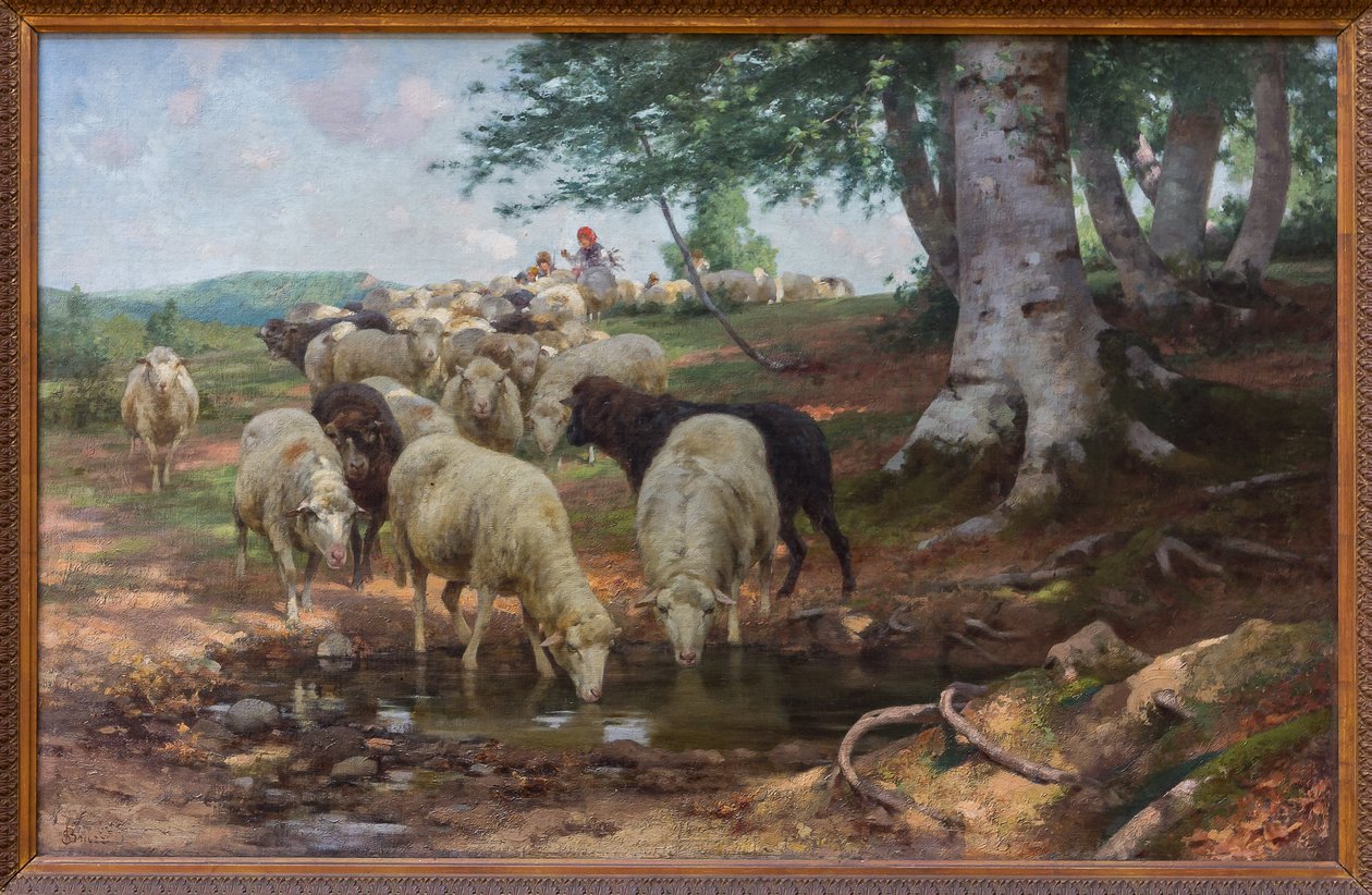 Primavera da Stefano Bruzzi