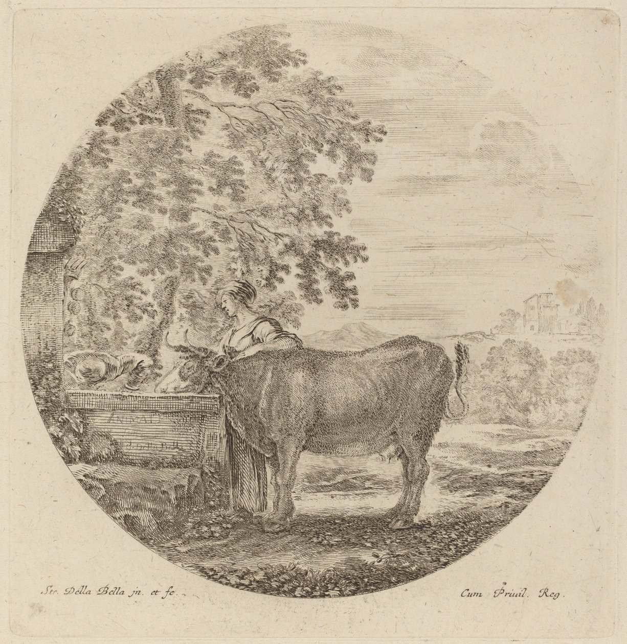 Mucca e giovane pastore a una fontana da Stefano della Bella