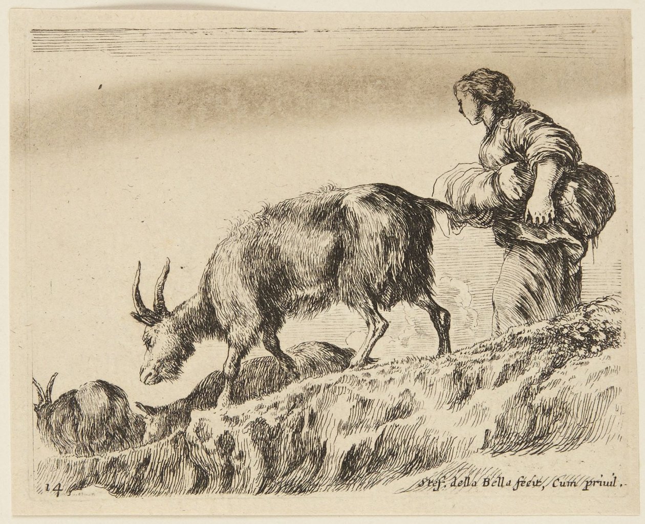 Capre (Animali diversi, 14) da Stefano della Bella