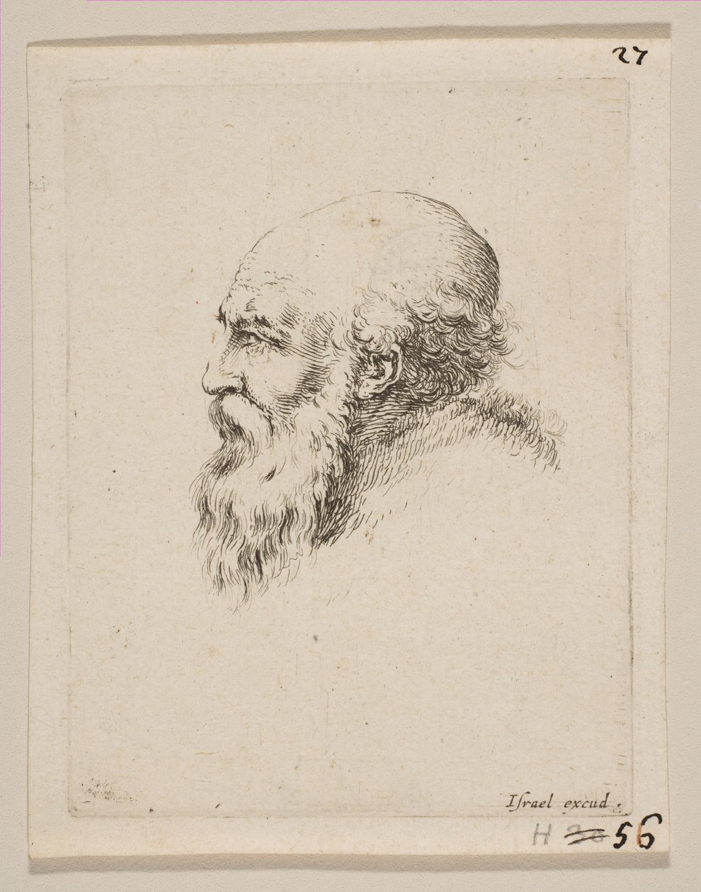 Testa di un vecchio calvo e barbuto di profilo, da Diversi capi e figure, 1650 da Stefano della Bella