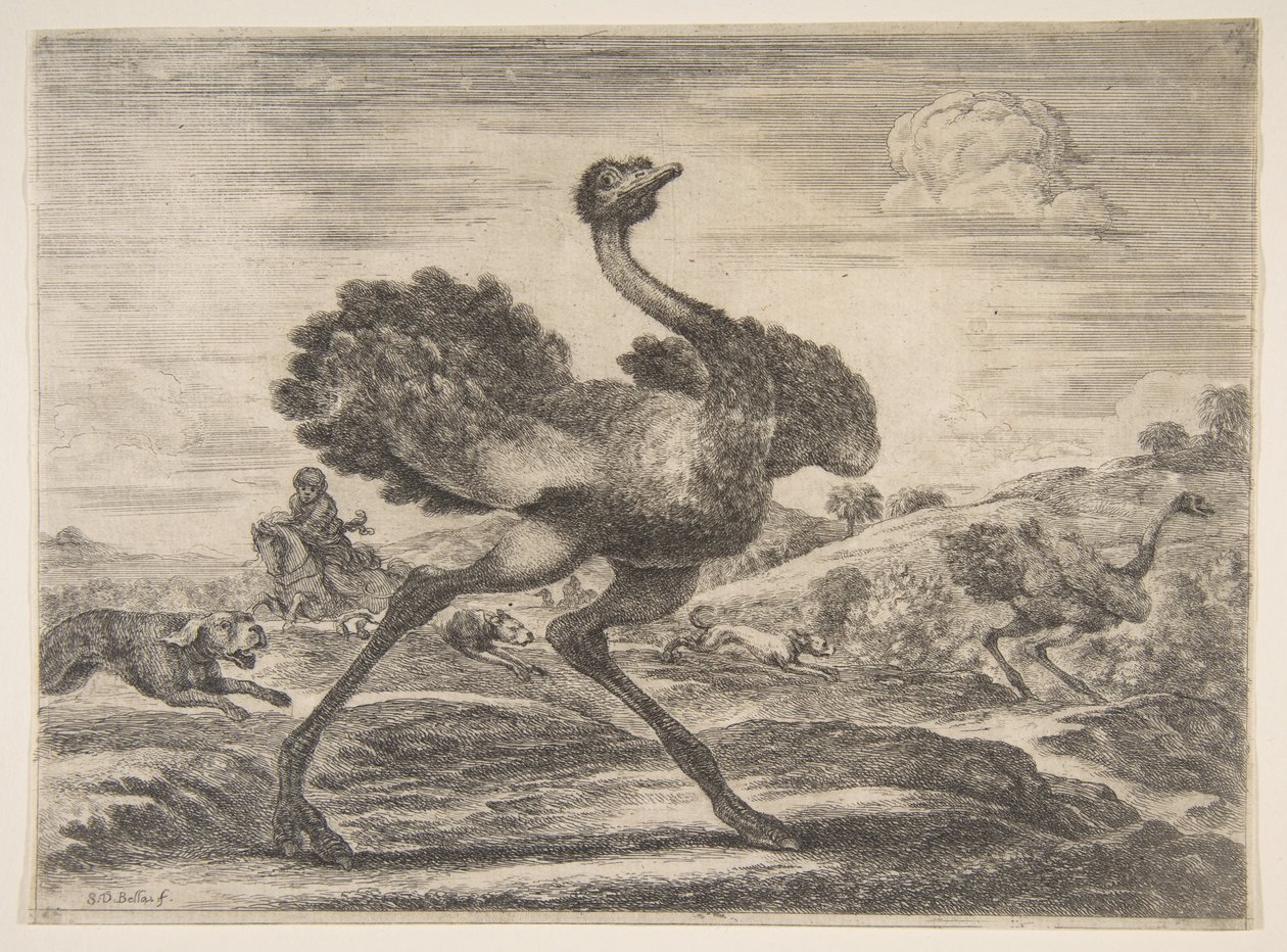 Caccia allo struzzo, da Cacce agli animali, ca. 1654 da Stefano della Bella