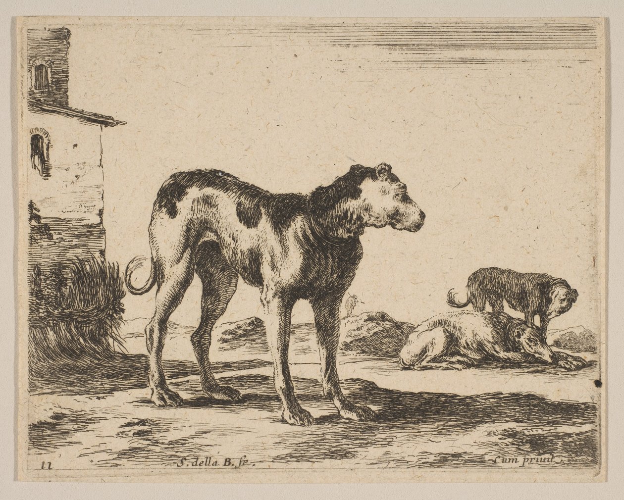Tavola 11: cani, da Vari animali Diversi animali da Stefano della Bella