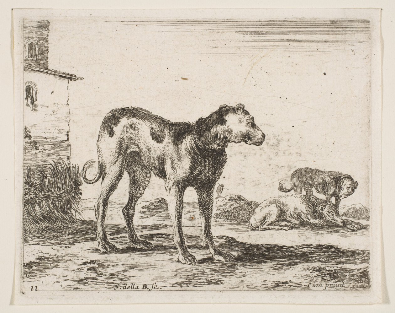 Tavola 11: cani, da Vari animali, ca. 1641 da Stefano della Bella