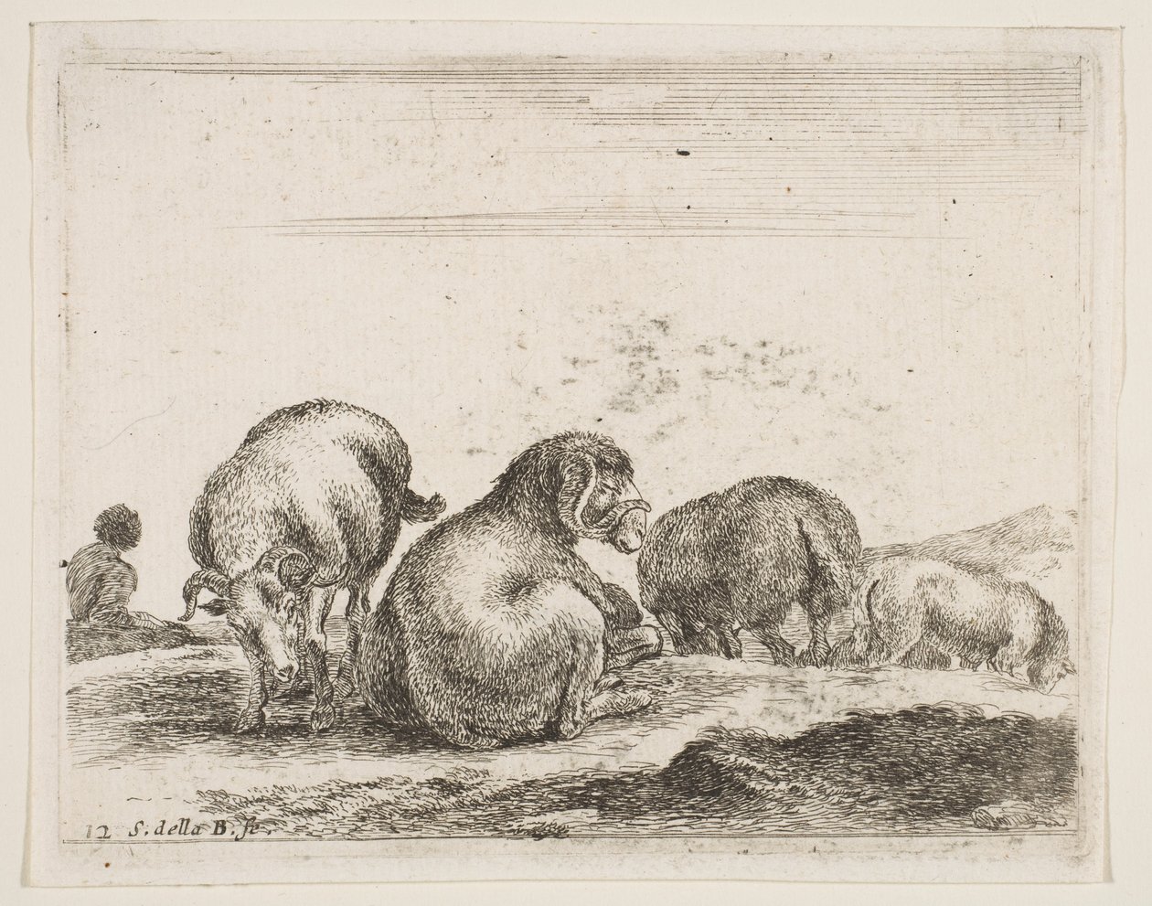 Pecore e ariete in un pascolo, da Diversi animali da Stefano della Bella