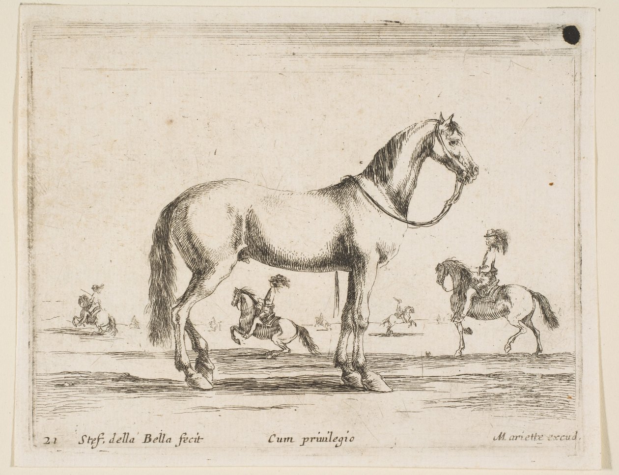Tavola 21: cavallo, da Diversi animali, 1641 da Stefano della Bella