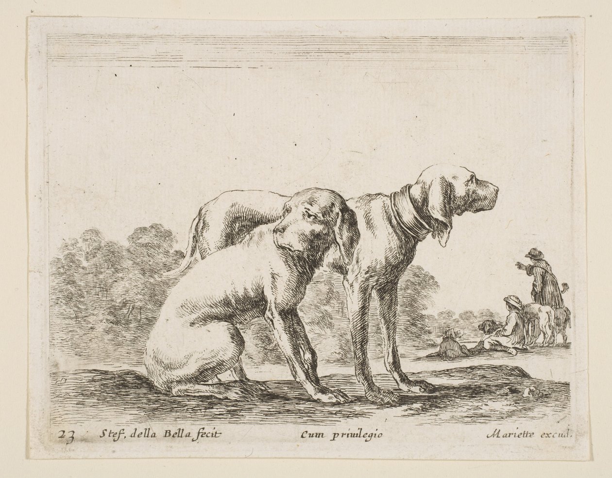 Tavola 23: due cani, da Vari animali da Stefano della Bella