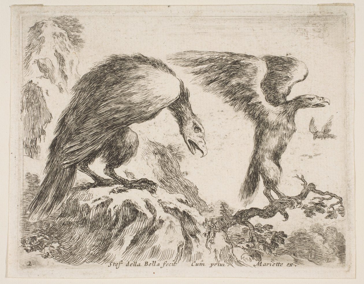 Tavola 2: aquila e aquilotto, da Vari animali, ca. 1641 da Stefano della Bella