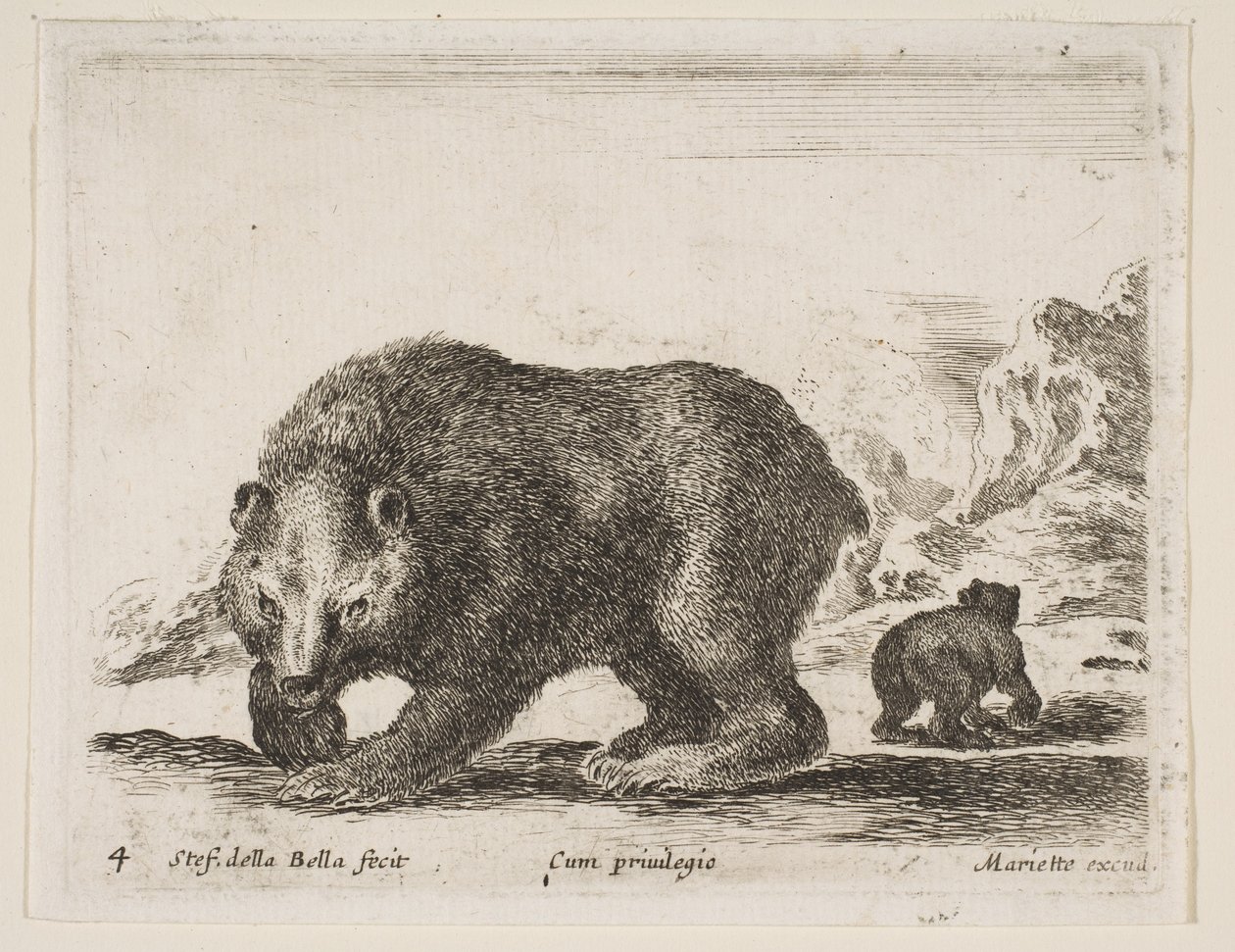 Tavola 4: orso, da 