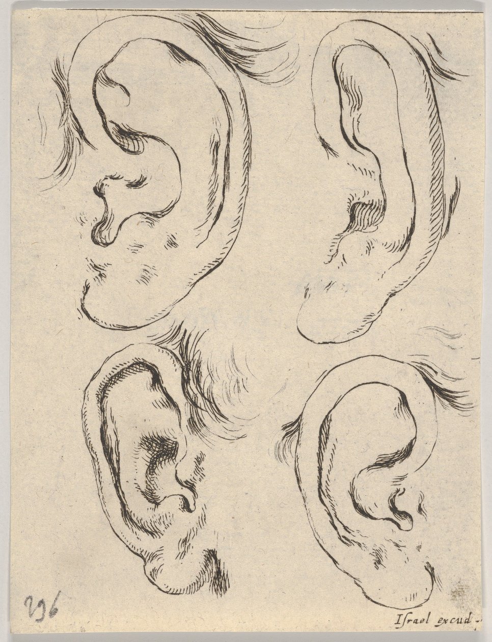 Tavola 5: quattro orecchie, da Il libro per imparare a disegnare, ca. 1649 da Stefano della Bella
