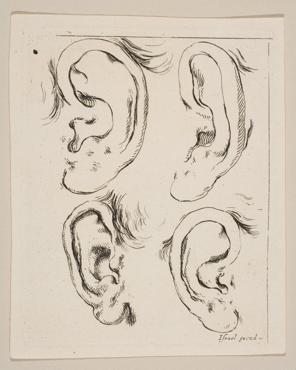 Tavola 5: quattro orecchie, da Il Libro per Imparare a Disegnare, ca. 1649 da Stefano della Bella