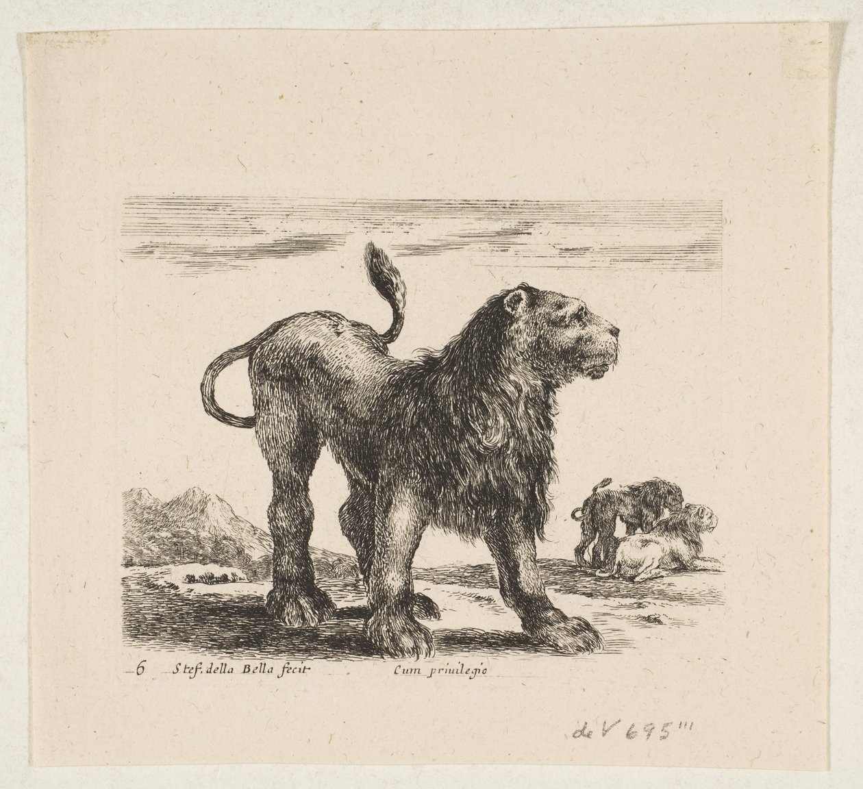 Tavola 6: leone, da 