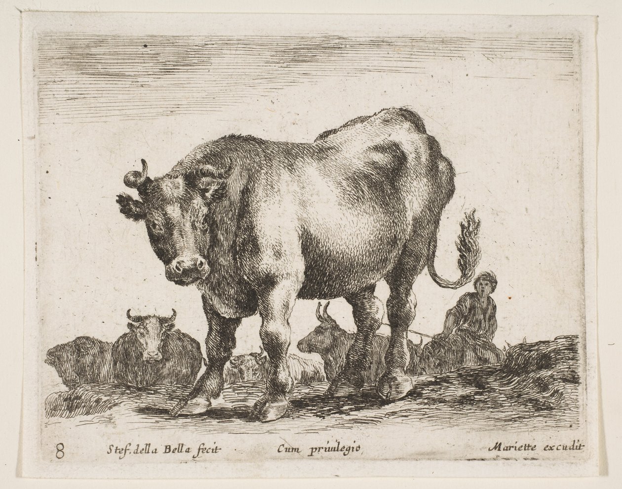 Tavola 8: mucca, da Vari animali Diversi animali, ca. 1641 da Stefano della Bella