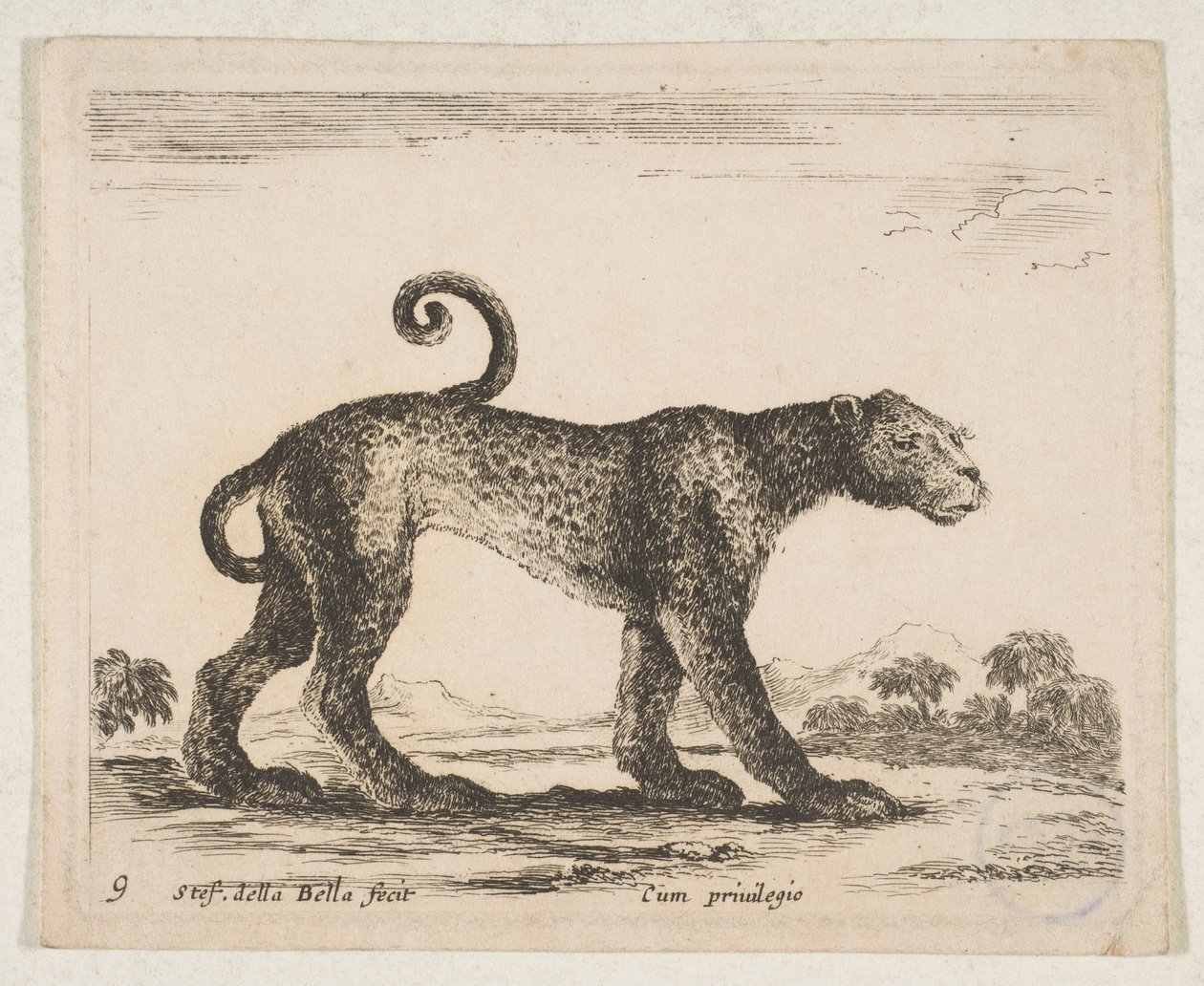 Tavola 9: leopardo, da 