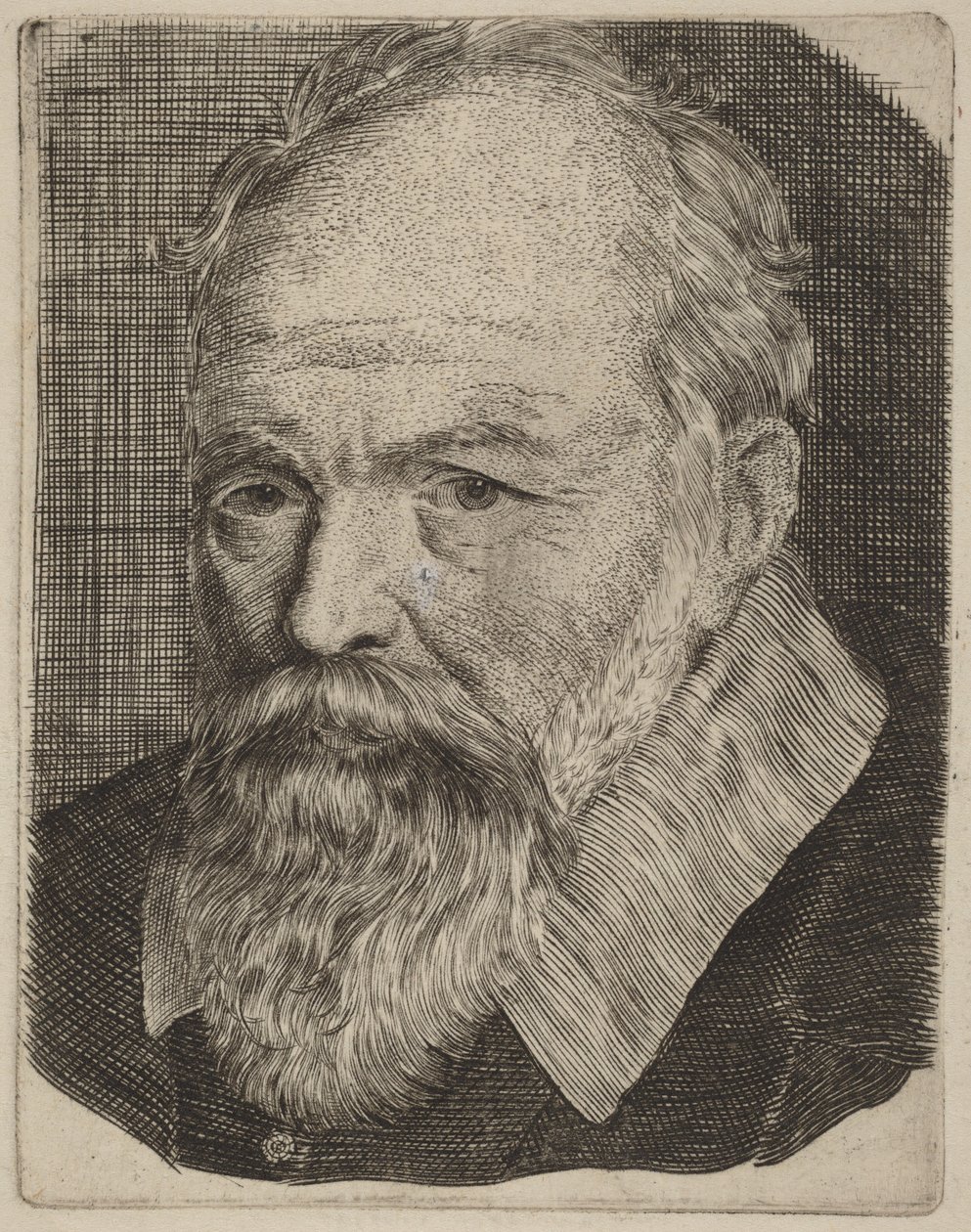 Ritratto di uomo da Stefano della Bella