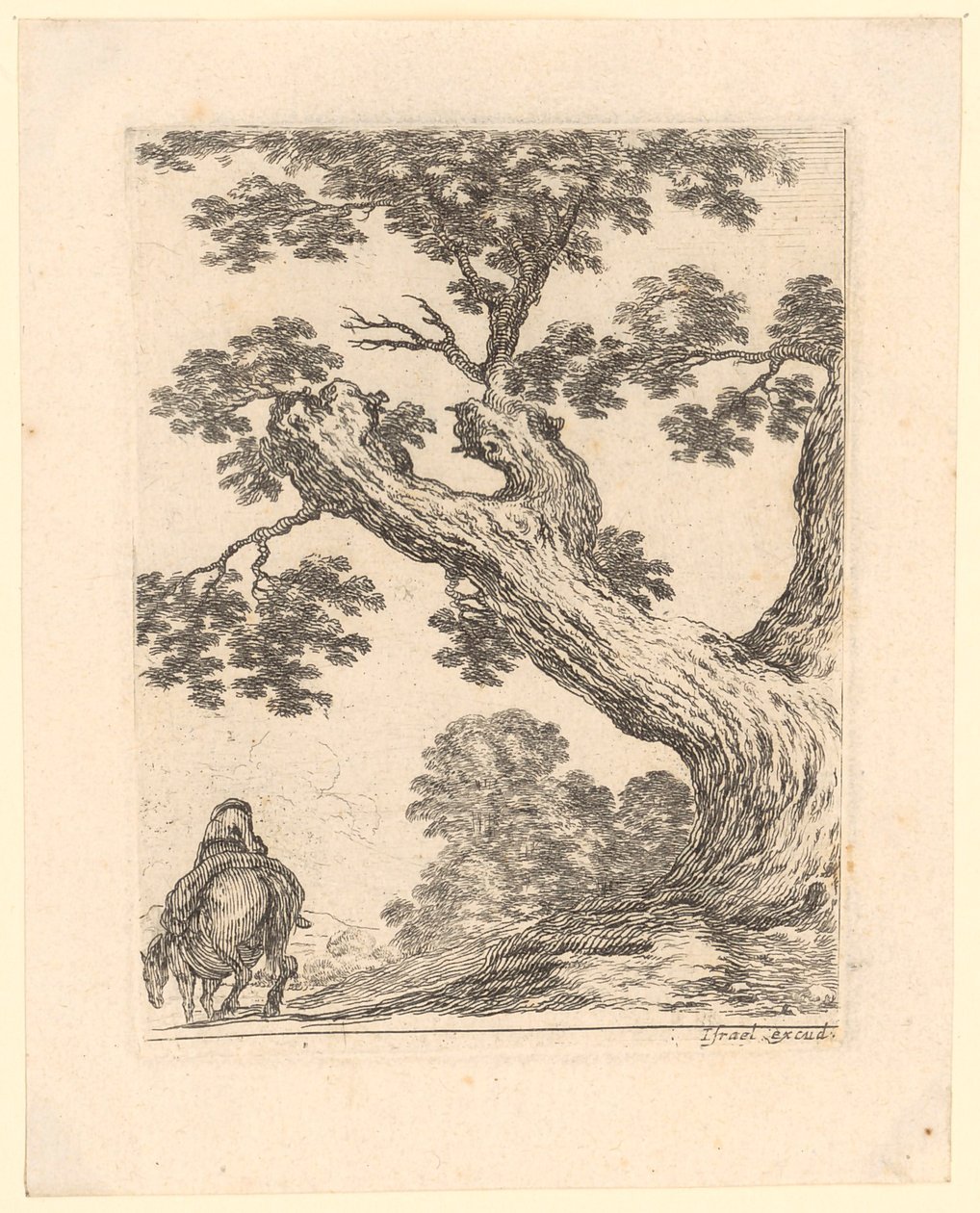 Cavaliere visto da dietro sotto un grande albero da Stefano della Bella