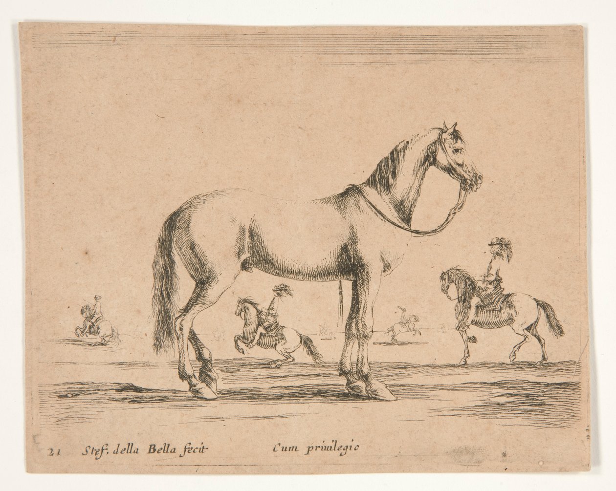 Cavallo senza cavaliere, con cavalieri che fanno dressage sullo sfondo da Stefano della Bella
