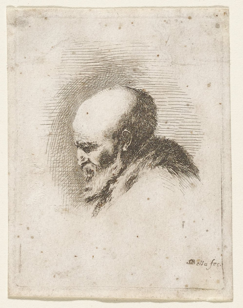 Testa di vecchio calvo e barbuto da Stefano della Bella