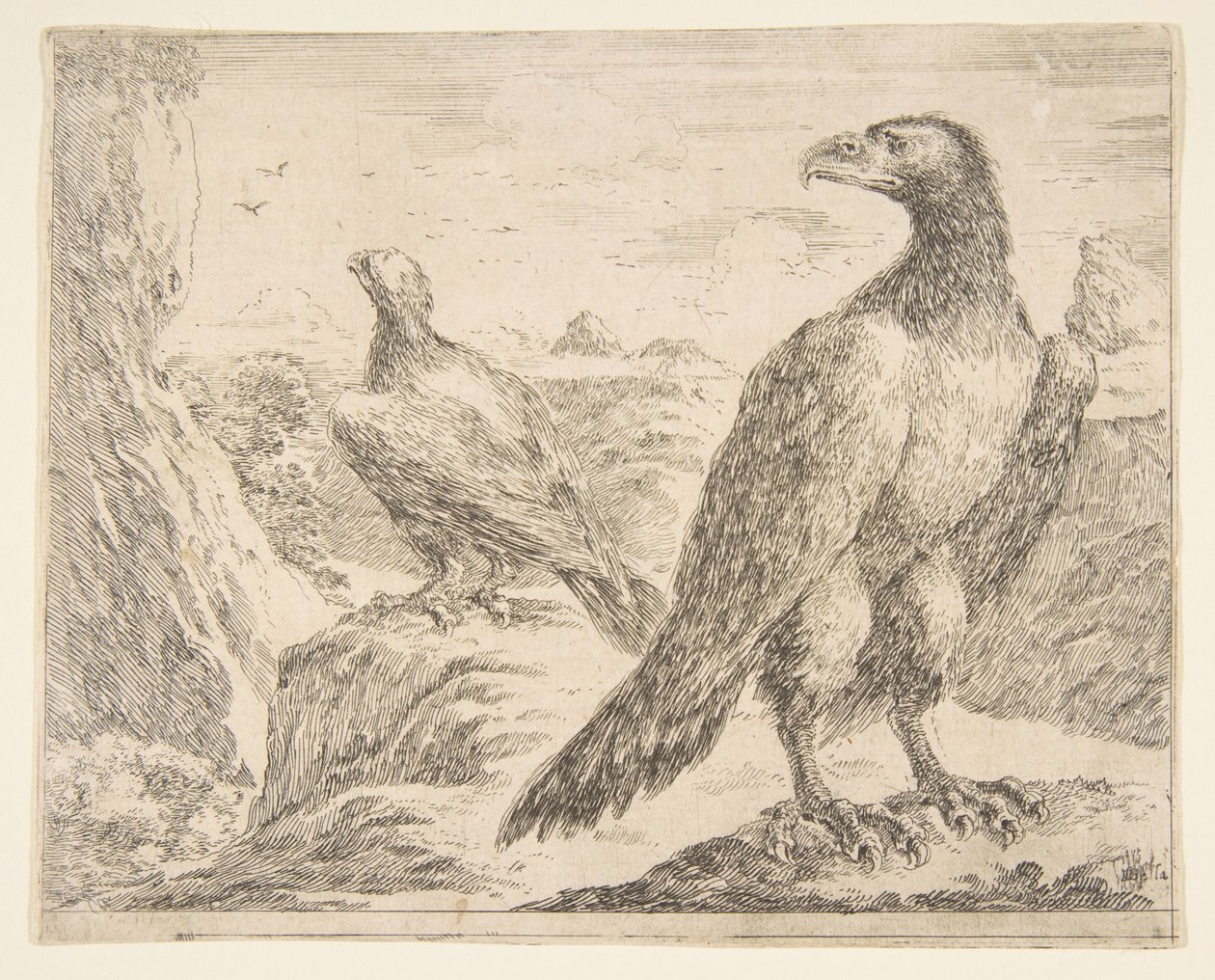 Due aquile, da Aquile Les aigles, ca. 1651 da Stefano della Bella