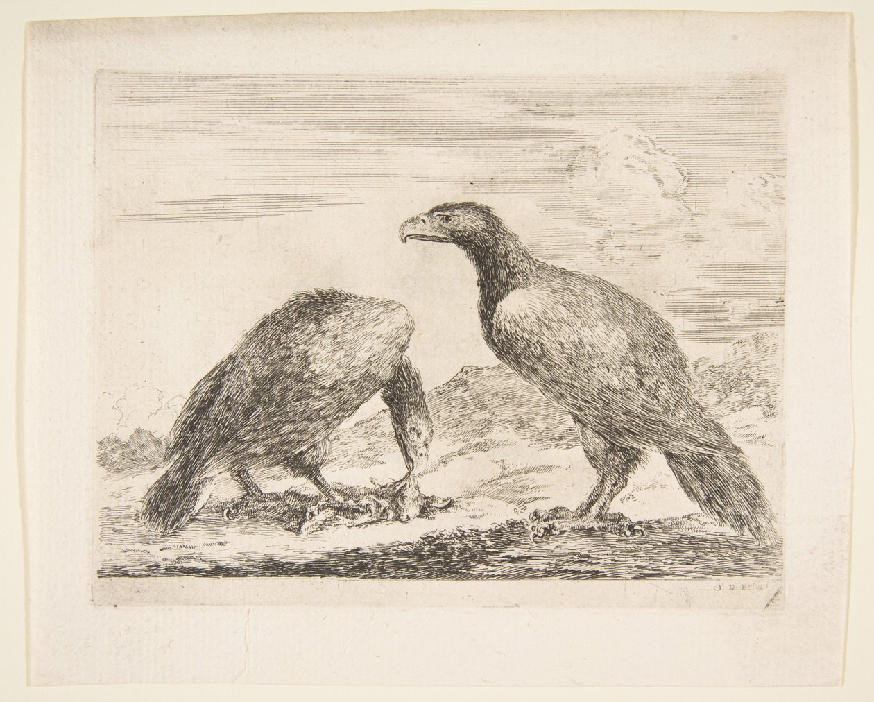 Due aquile, una che divora un agnello, dalle Aquile, ca. 1651 da Stefano della Bella