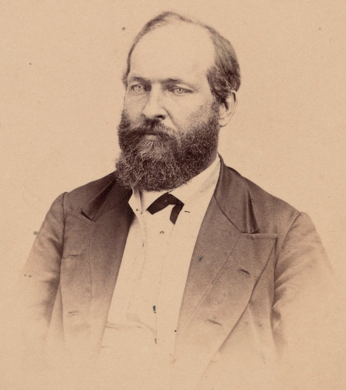 Ritratto di James Abram Garfield 1831-1881, 1869 da Stein Bros