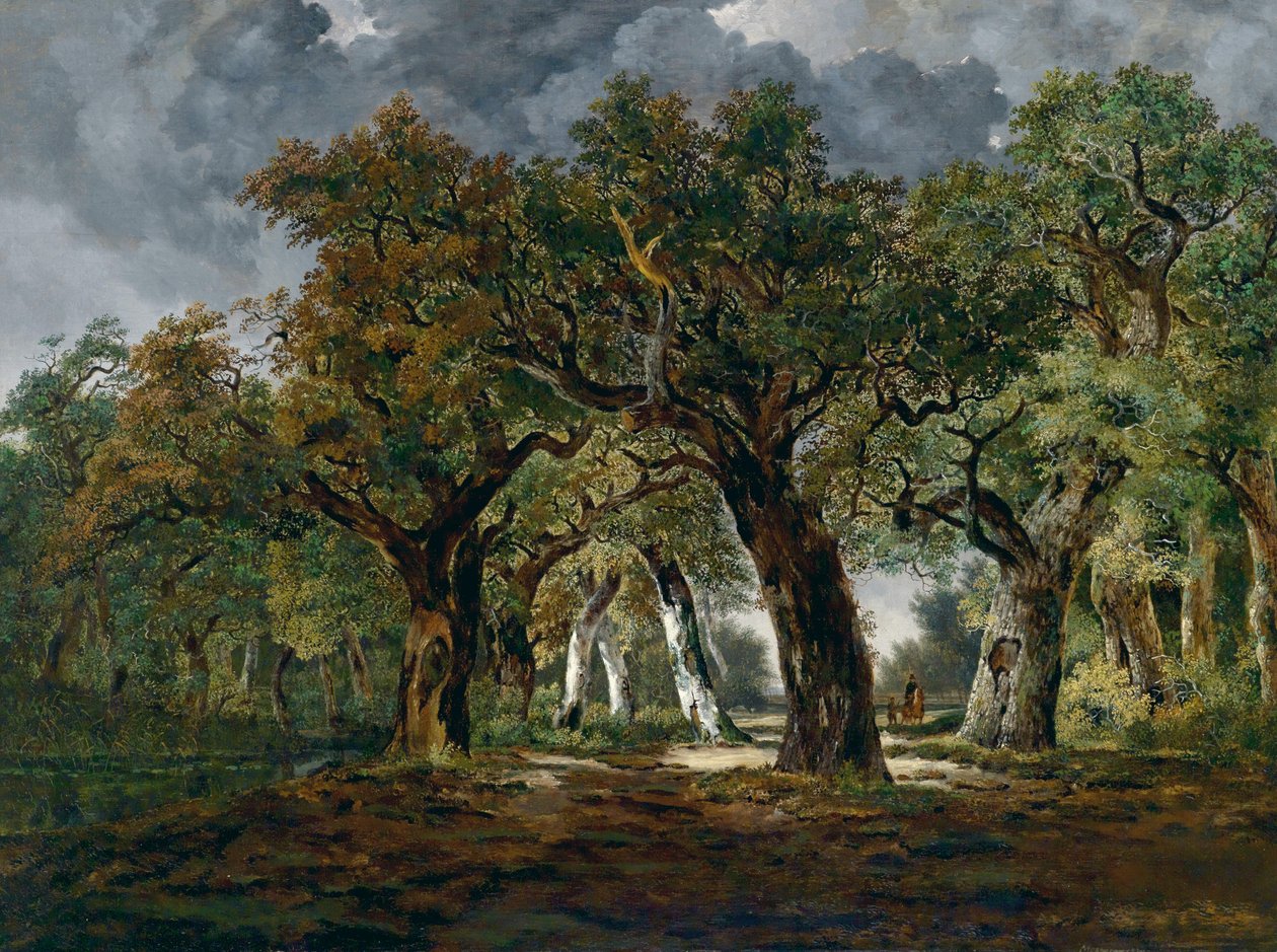 Cavaliere nella foresta di querce durante un temporale in arrivo da Stephan Messerer