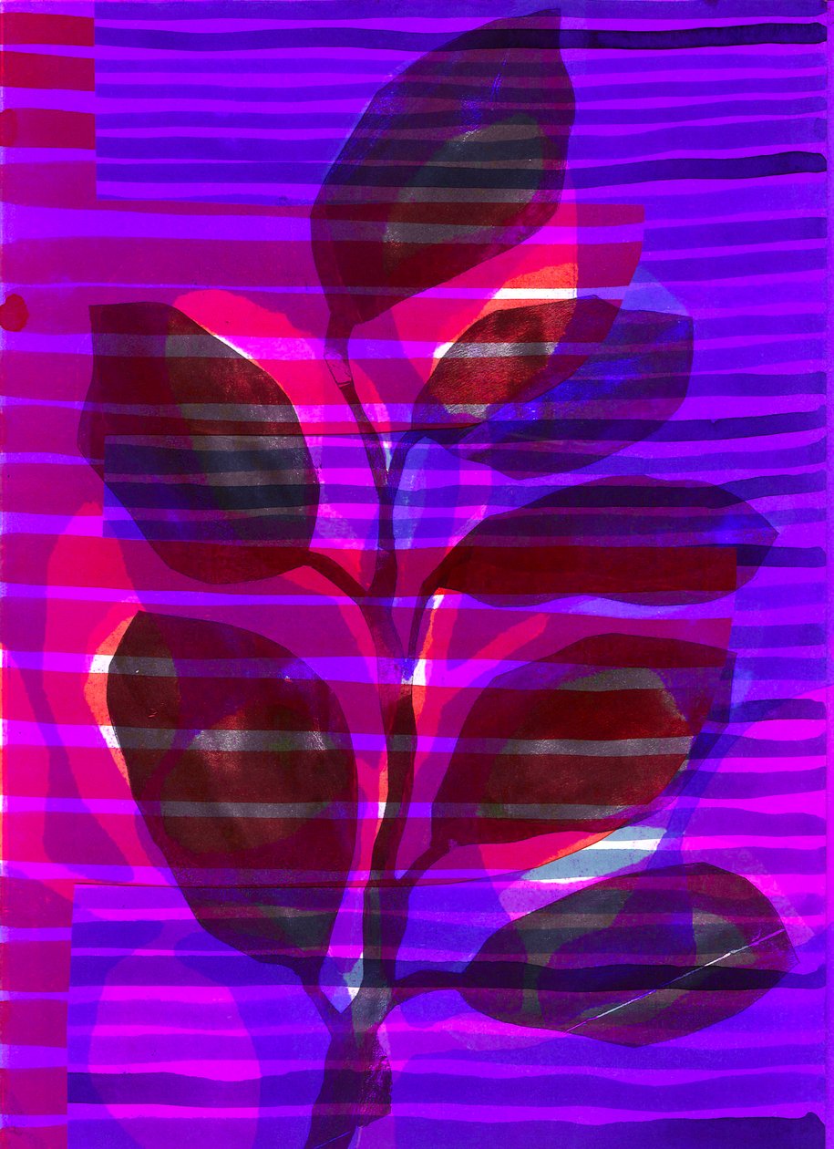 Striscia botanica I, 2018 (digitale) da Stephen Dow