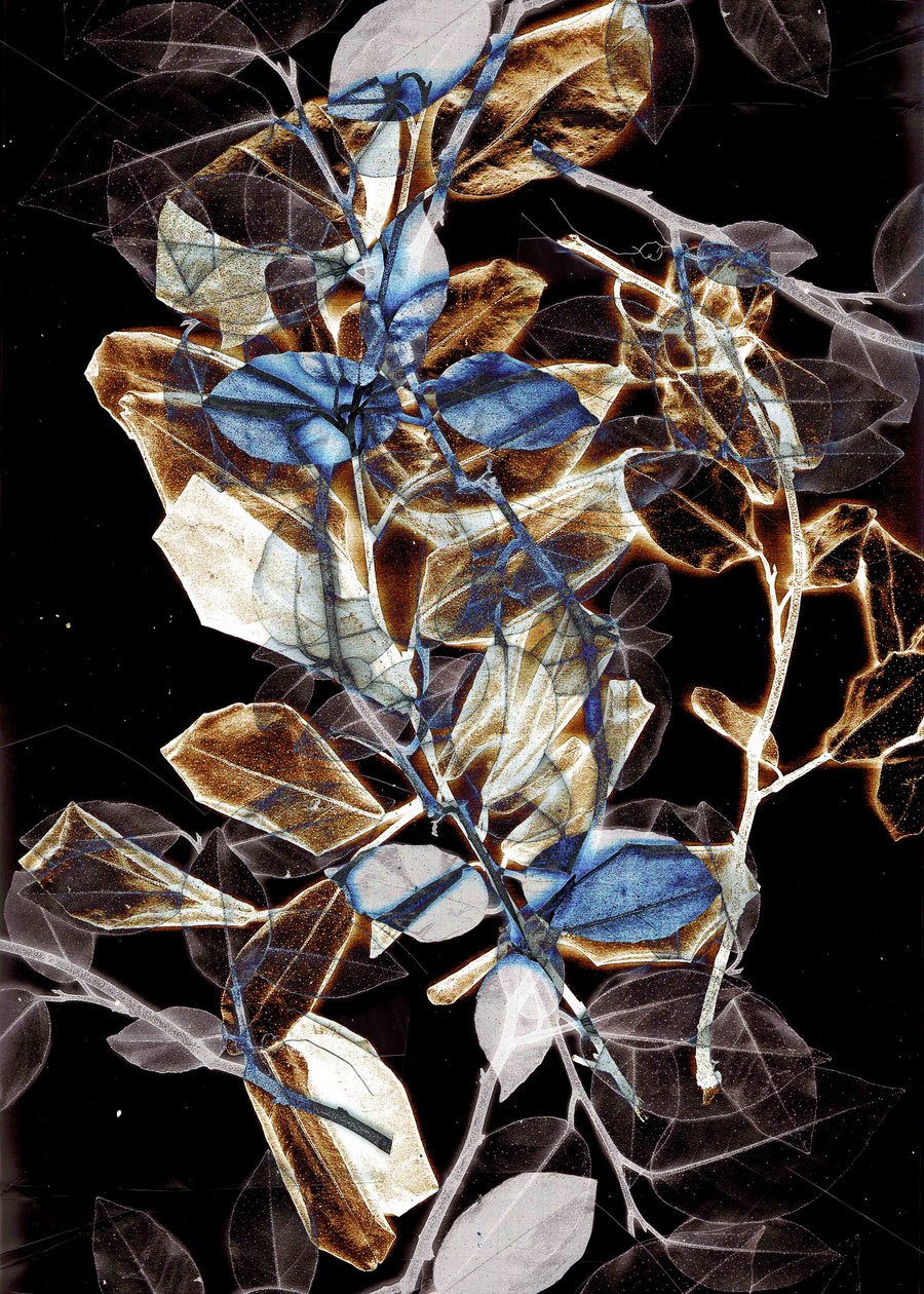Freyr IX, 2018 (digitale) da Stephen Dow
