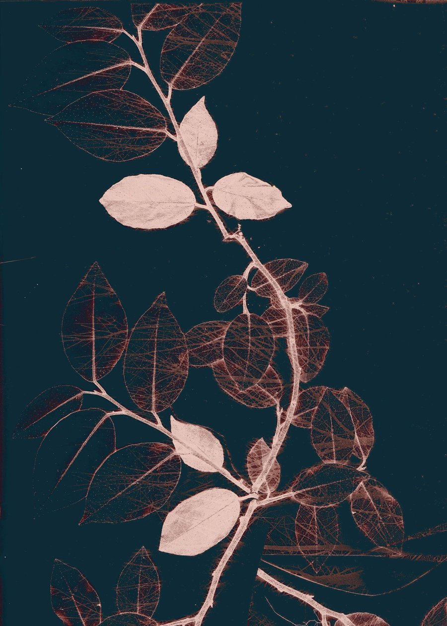 Freyr VII Rame scuro, 2018 (digitale) da Stephen Dow