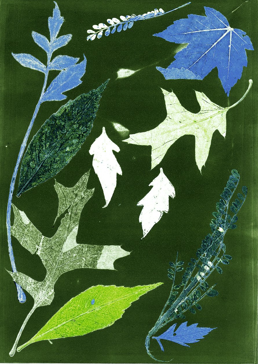Jol X verde, 2017 (digitale) da Stephen Dow