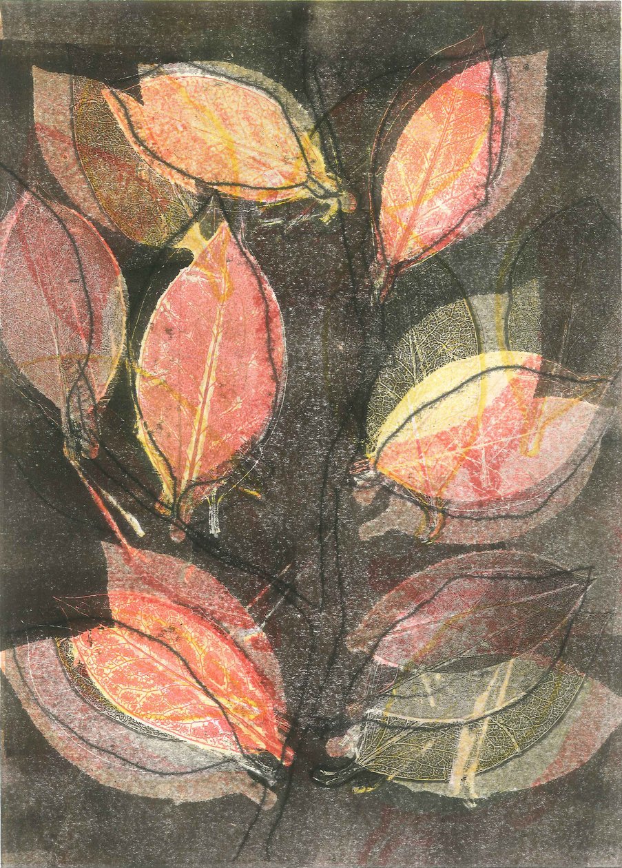 Giardino di mezzanotte V, 2015 (monostampa su carta) da Stephen Dow