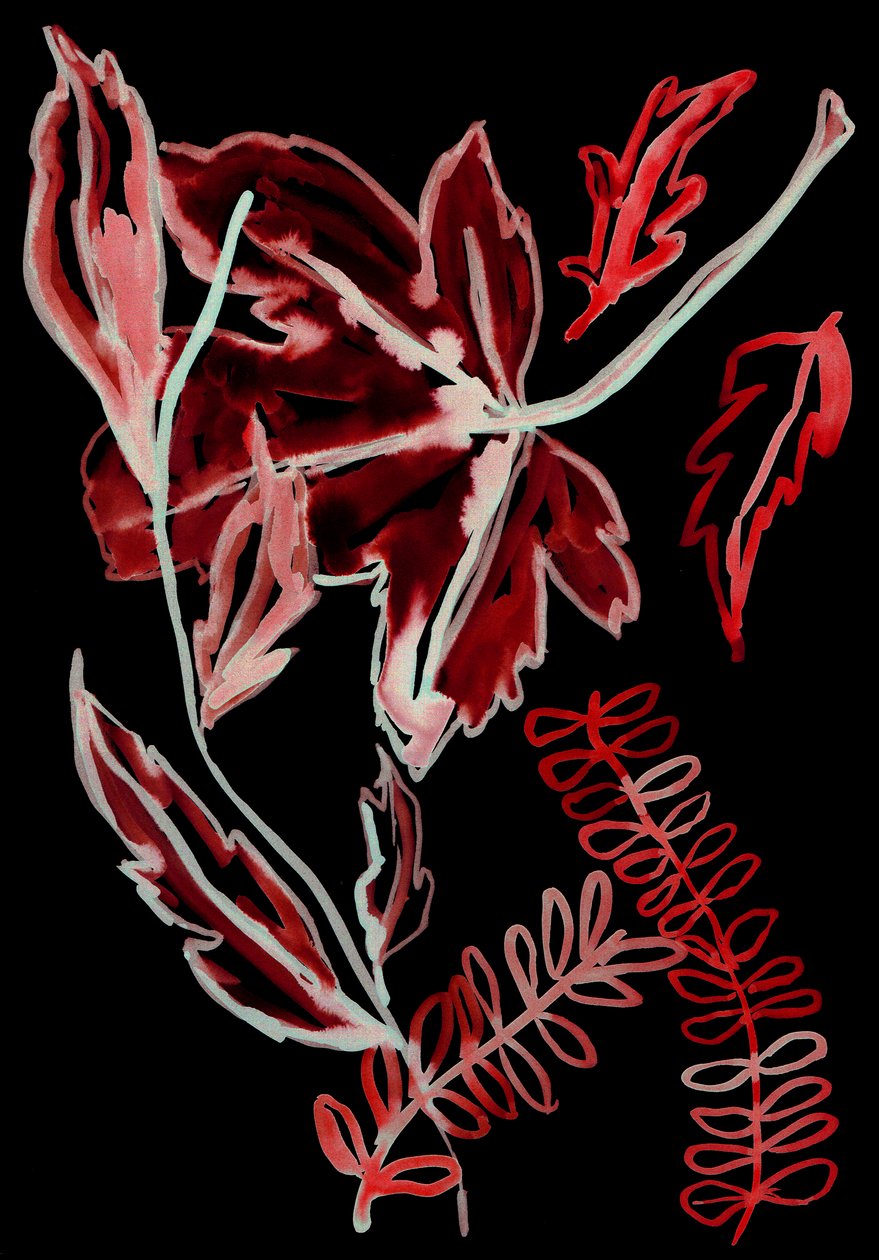 Flora notturna I, 2018 (digitale) da Stephen Dow