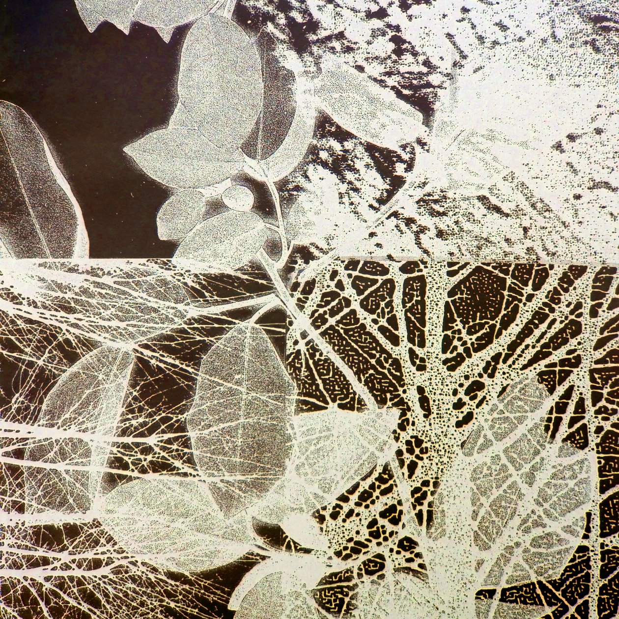 Foresta notturna, 2018 (digitale) da Stephen Dow