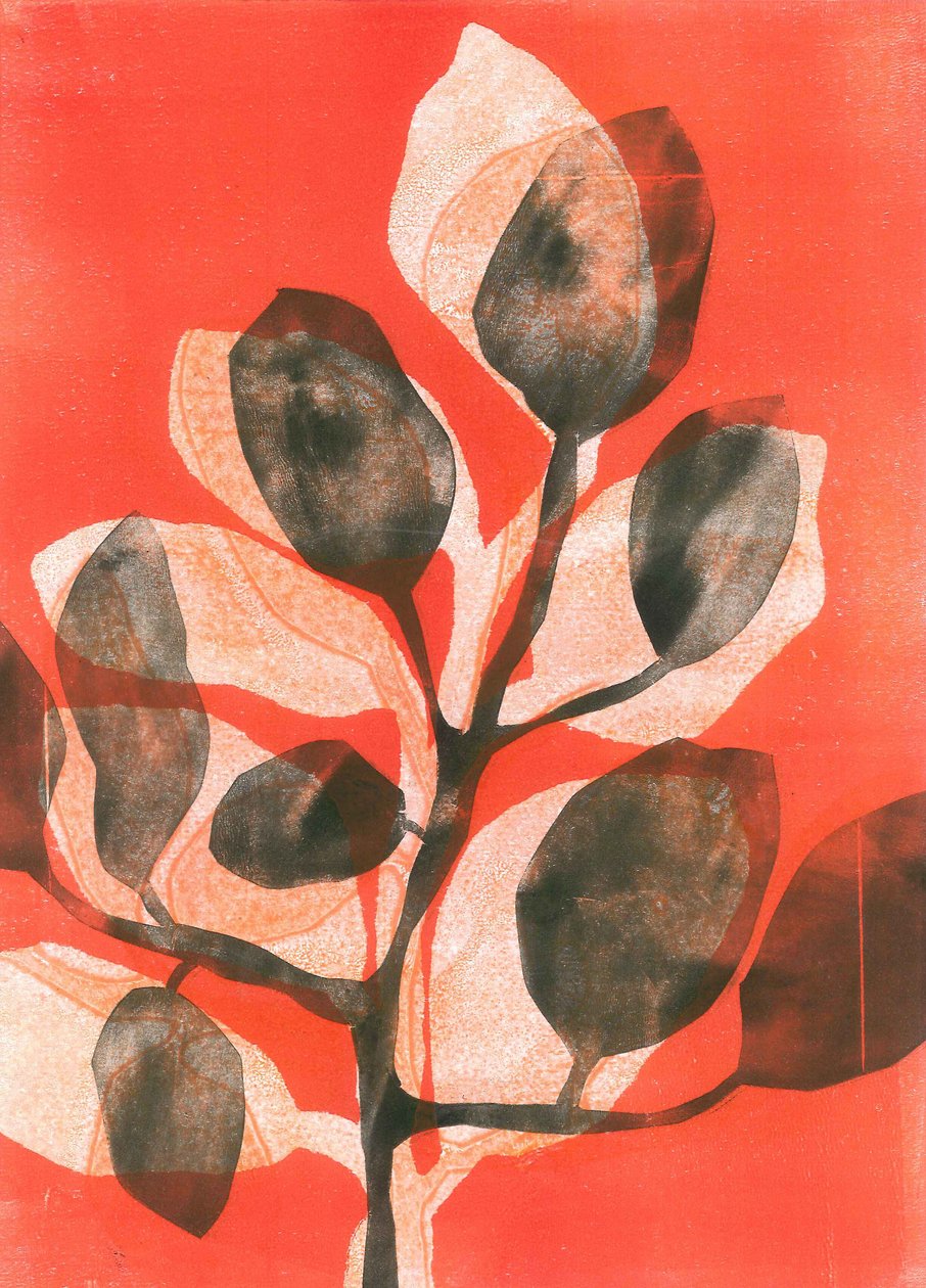 Giardino d