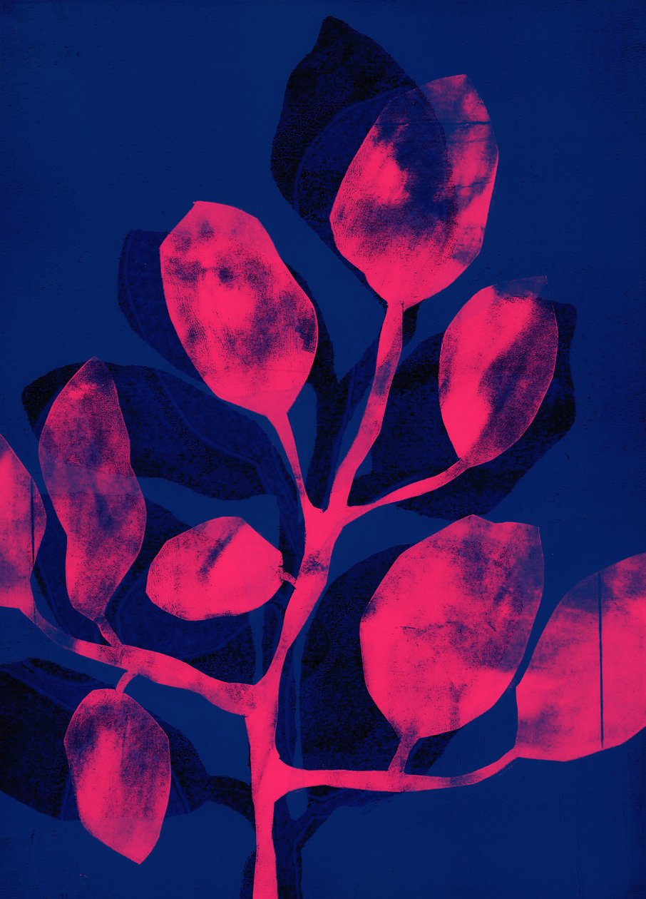 Giardino estivo III rosa, 2018 (digitale) da Stephen Dow