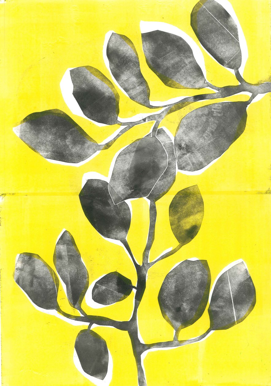 Giardino d
