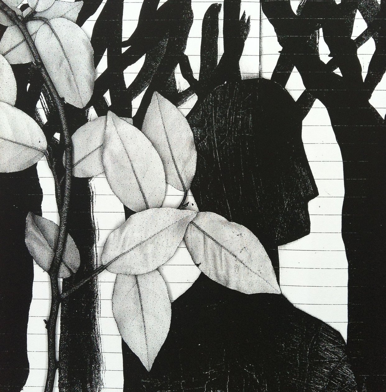 Il bosco, 2014 (collage) da Stephen Dow