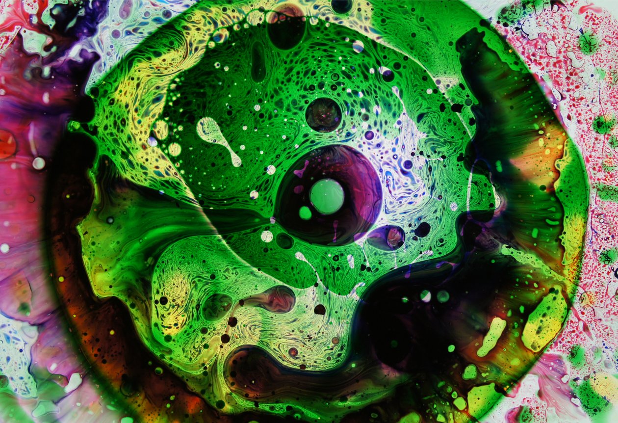 Mondo Verde, 2024 da Steve Pavlovsky