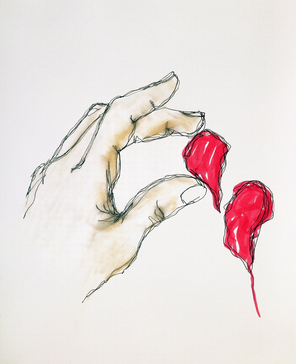 Un pezzo del tuo cuore, 1996 da Stevie Taylor