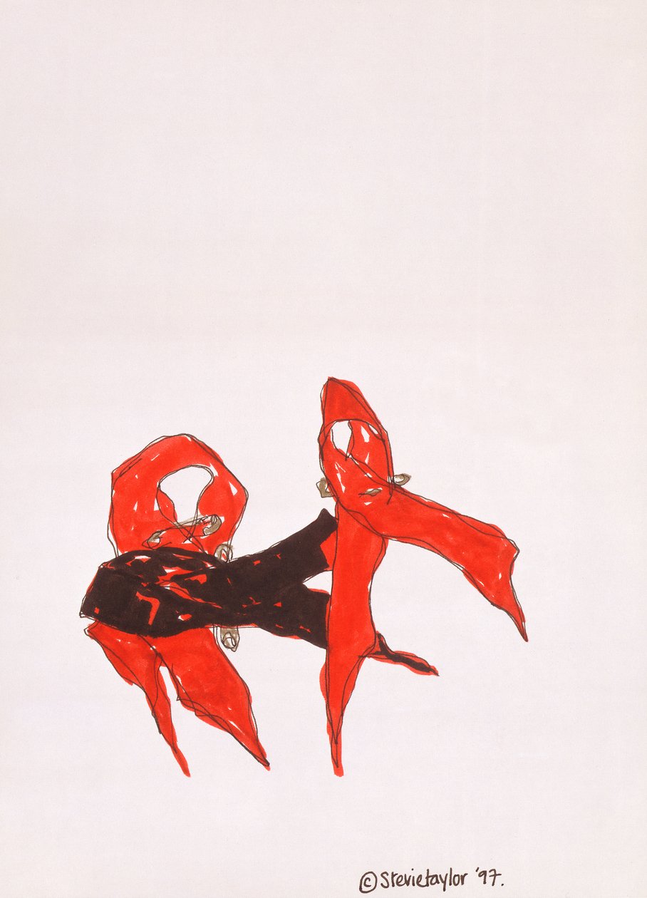 Un nostro amico, 1997 da Stevie Taylor