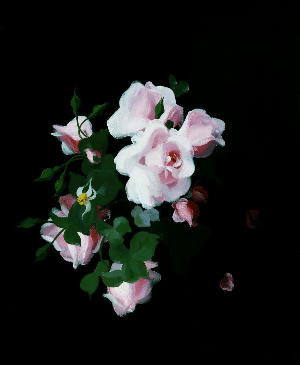 Rose rosa. Dipinto di Stuart Park (1862-1933) Collezione privata. da Stuart Park