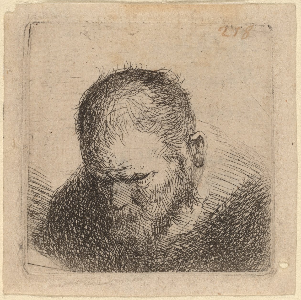 Uomo barbuto che guarda in basso da Studio of Rembrandt van Rijn