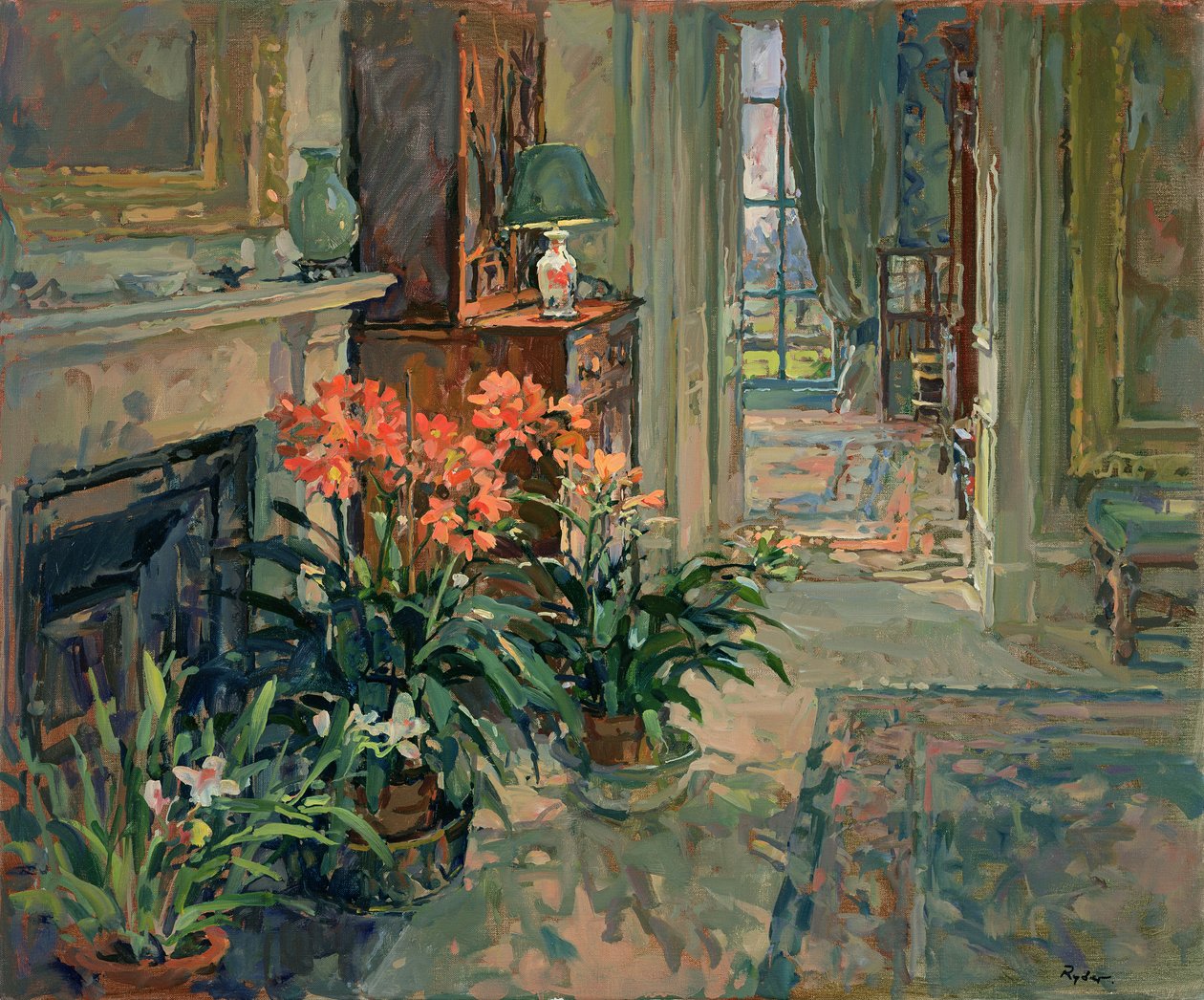 Clivia e Orchidea da Susan Ryder