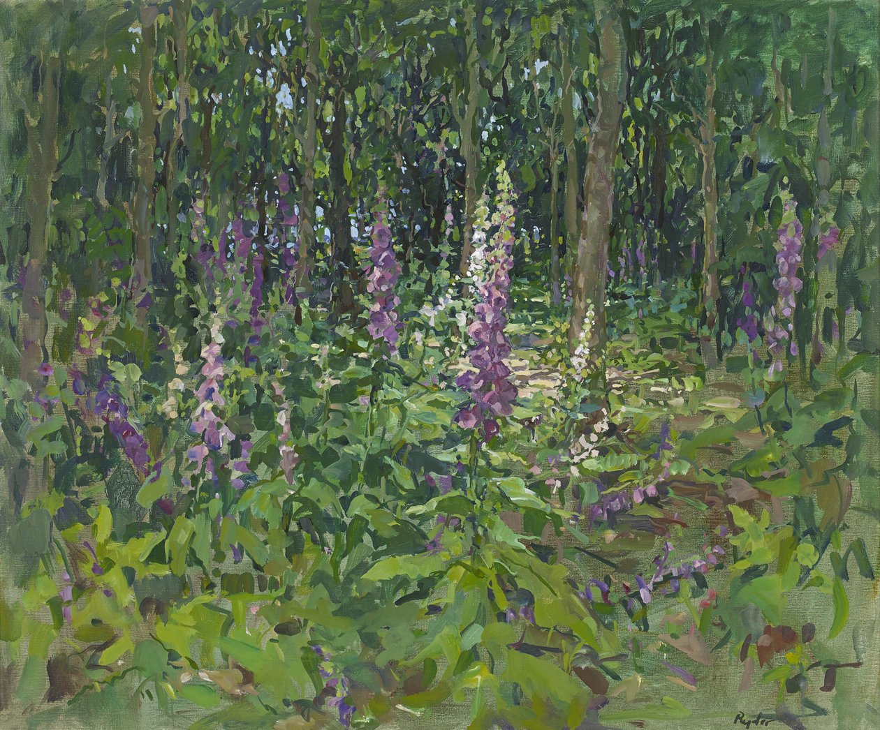 Digitale purpurea da Susan Ryder