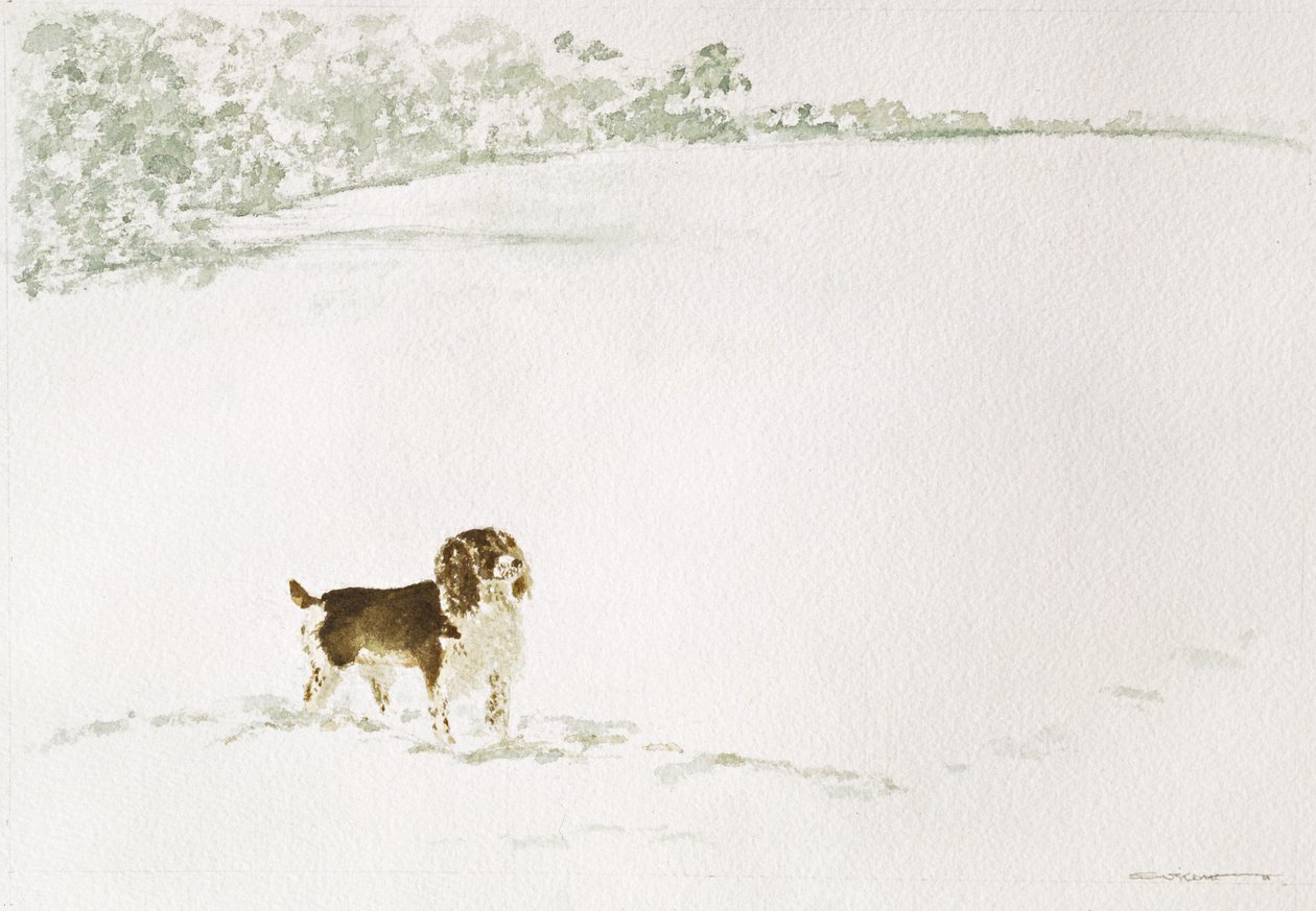Spaniel nella neve da Suzi Kennett